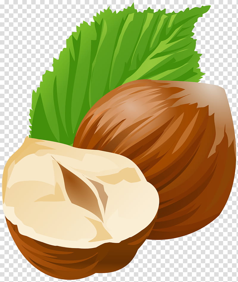 Coconut, Hazelnut, Leaf, Food, Plant, Tree, Chestnut transparent background PNG clipart