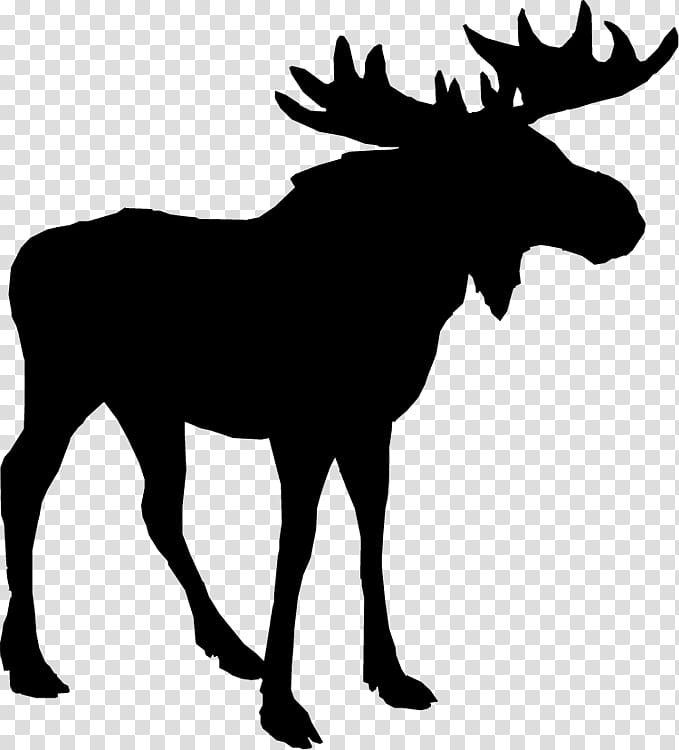 Deer Moose, Silhouette, Alaska Moose, Decal, Wildlife, Elk, Line Art, Blackandwhite transparent background PNG clipart
