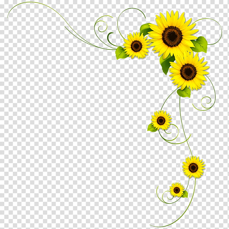 Drawing Of Family, Flower, Common Sunflower, Yellow, Flora, Plant, Cut Flowers, Daisy transparent background PNG clipart