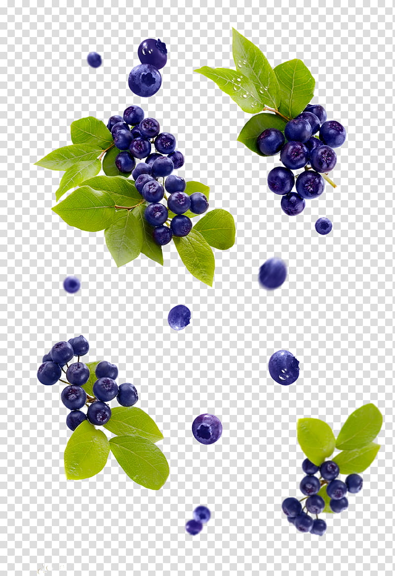 Tea Leaf, Grape, Bilberry, Blueberry, Juice, American Muffins, Berries, Blueberry Tea transparent background PNG clipart