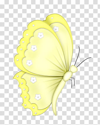 Resources , BVS naturepower butterfly icon transparent background PNG clipart