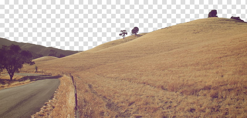 JulietteGD, landscape graphy of brown grass field transparent background PNG clipart