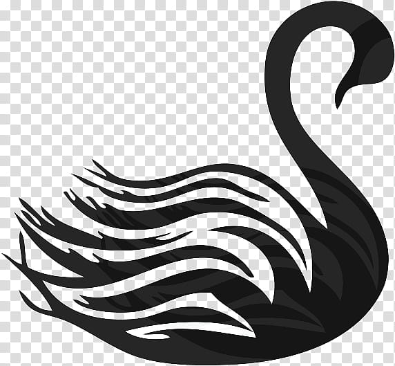 Bird Logo, Black Swan, Animal, Black And White
, Swans, Water Bird, Ducks Geese And Swans, Waterfowl transparent background PNG clipart