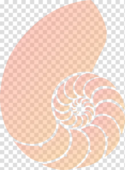 Pink, Nautiluses, Spiral, Fahrenheit, Skin, Peach, Chambered Nautilus, Beige transparent background PNG clipart