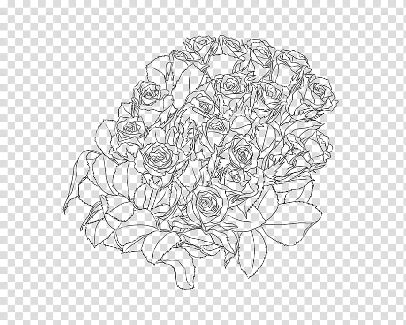 FREE Rose Line, gray rose bouquet sketch transparent background PNG clipart