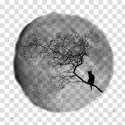 silhouette of cat on tree painting transparent background PNG clipart