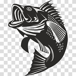 Logo Fish graphics Mascot, BASS Fishing transparent background PNG