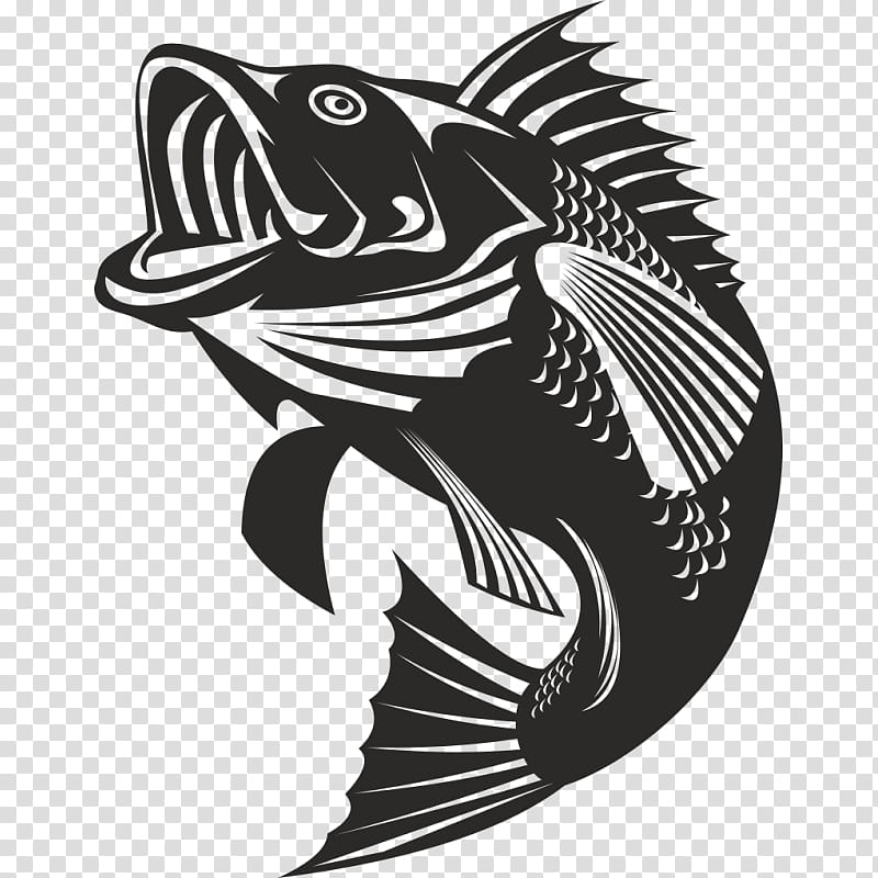 Fishing, Bass, BASS Fishing, Largemouth Bass, Angling, Striped Bass, Fishing Rods, Logo transparent background PNG clipart