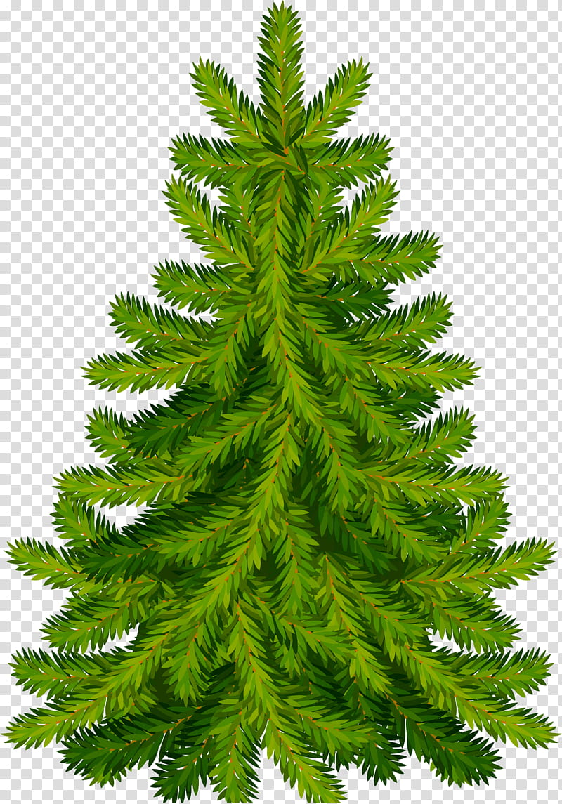 Christmas Tree Lights, Fir, Christmas Day, Pine, Spruce, Artificial Christmas Tree, Conifers, Cedar transparent background PNG clipart