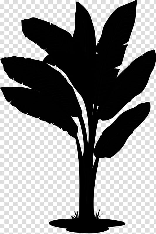 Banana Leaf, Fruit, Drawing, Plants, Tree, Blackandwhite, Hand transparent background PNG clipart