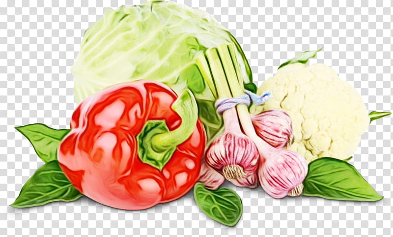 Vegetables, Food, Pickled Cucumber, Tomato, Fruit, Grater, Curly Kale, Cabbage transparent background PNG clipart