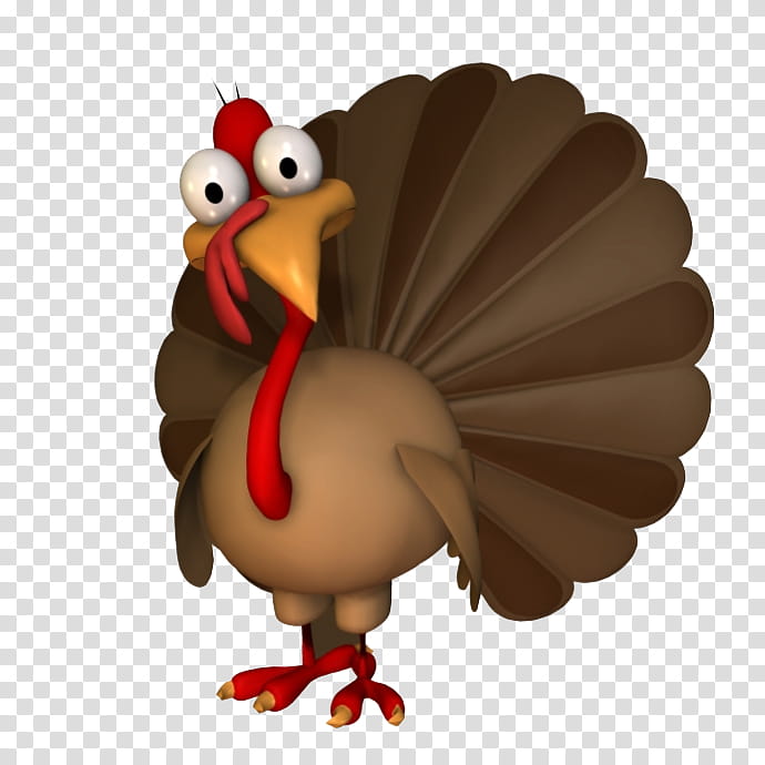 Thanksgiving, Turkey, Bird, Cartoon, Beak, Animation transparent background PNG clipart