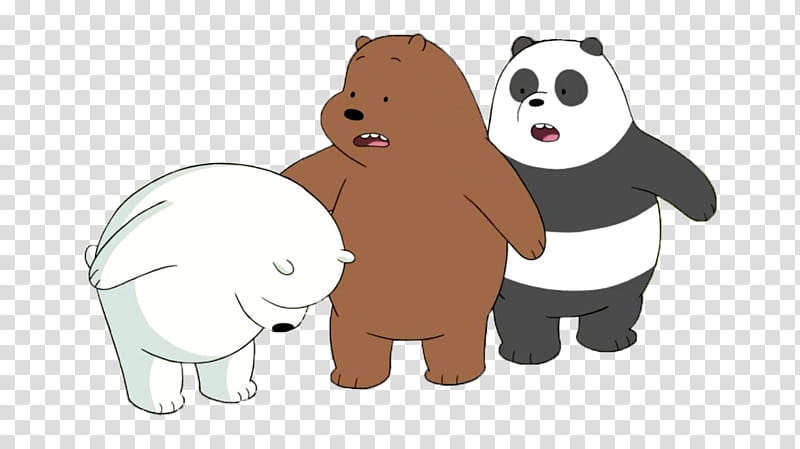 Cat And Dog, Bear, Ice Bear, Polar Bear, Human, Korean Language, Catlike, Animation transparent background PNG clipart