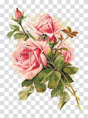 Bouquet Of Flowers Drawing Rose Floral Design Art Painting Vintage Clothing Printmaking Watercolor Painting Transparent Background Png Clipart Hiclipart This tutorial is perfect for all art enthusiasts. flowers drawing rose floral design