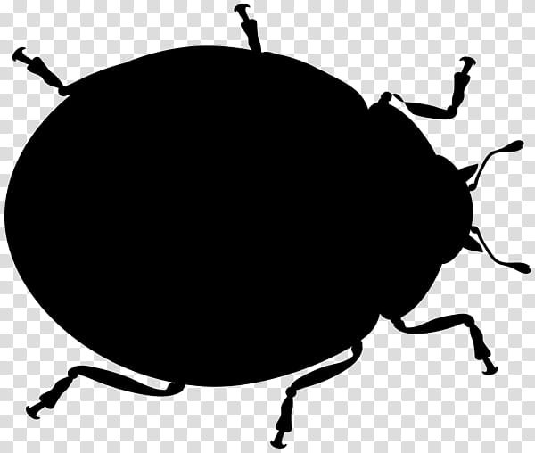 Leaf Silhouette, Weevil, Beetle, Membrane, Insect, Pest, Leaf Beetle, Ground Beetle transparent background PNG clipart