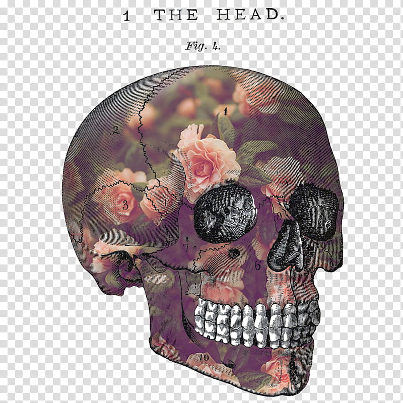 Rad s, skull illustration transparent background PNG clipart