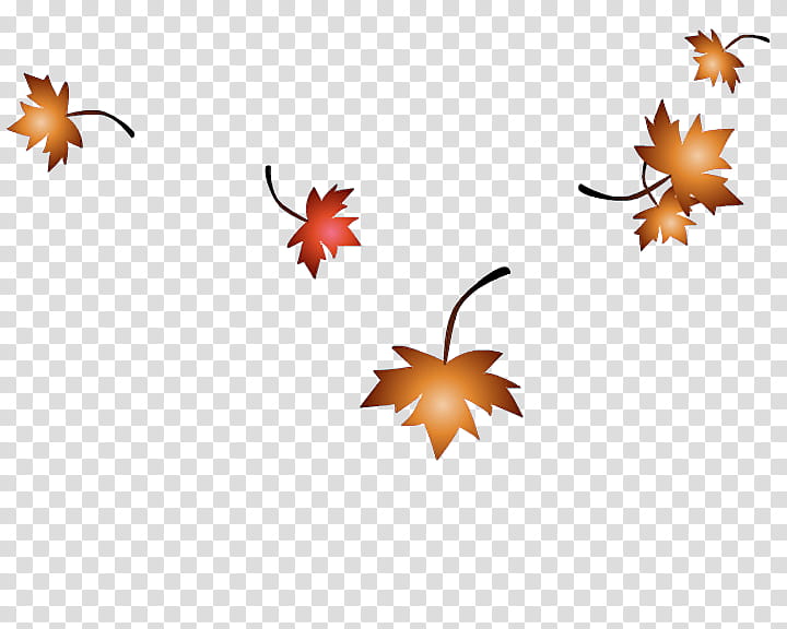 Autumn Template, SWF, Adobe Flash, Animation, Cartoon, Web Template, Leaf, Maple Leaf transparent background PNG clipart