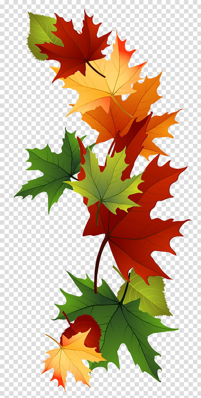 Maple leaf border Black and White Stock Photos & Images - Alamy