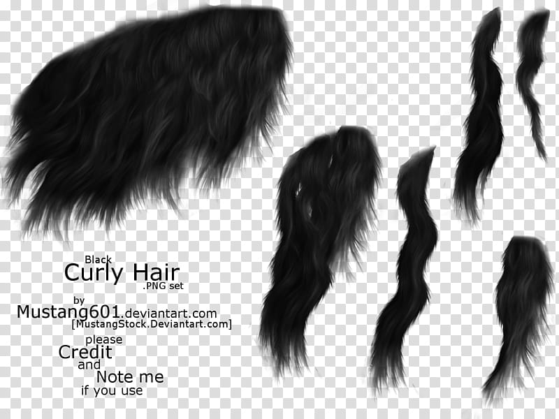 Curly Manes tails Black transparent background PNG clipart