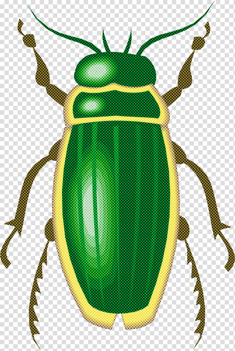 insect beetle cetoniidae ground beetle scarabs, Blister Beetles transparent background PNG clipart