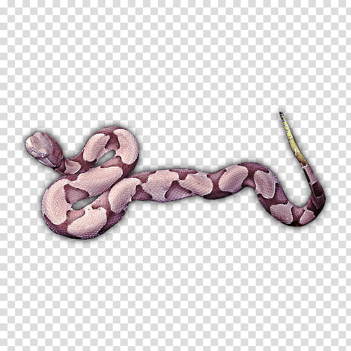 RPG Map Elements , brown python snake transparent background PNG clipart