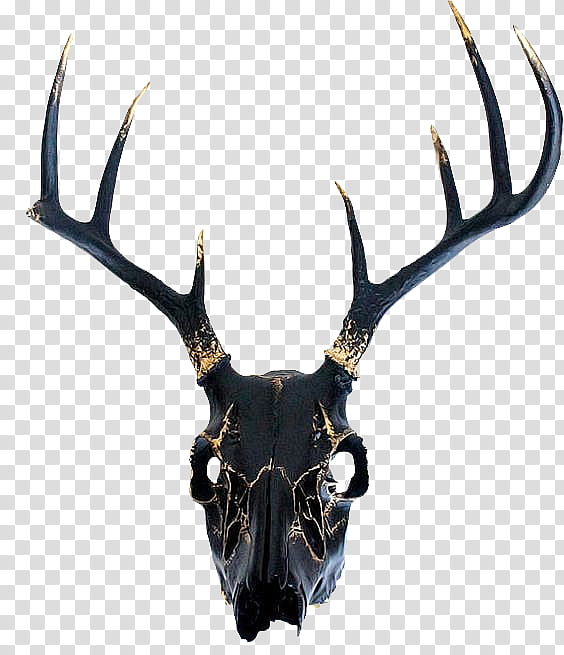 Dark Temper, deer horn decor transparent background PNG clipart