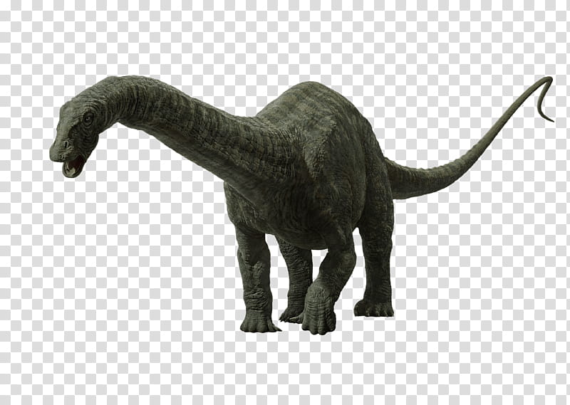 Apatosaurus, gray brachiosaurus illustration transparent background PNG clipart