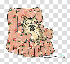 various VIII, cat sitting on sofa chair transparent background PNG clipart
