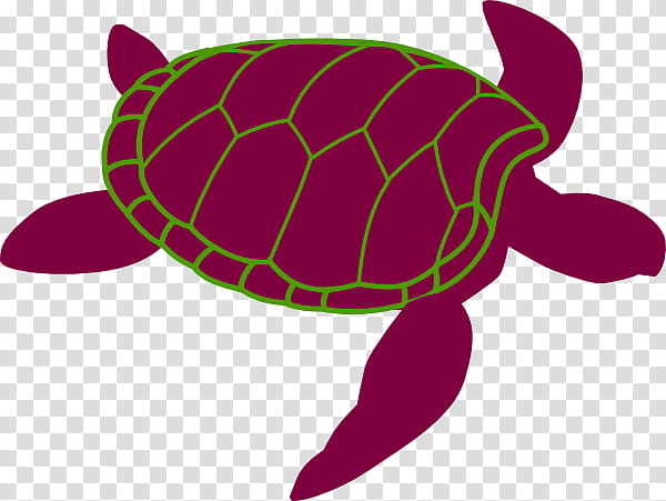 Sea Turtle, Reptile, Drawing, Loggerhead Sea Turtle, Green Sea Turtle, Tortoise, Caretta, Purple transparent background PNG clipart
