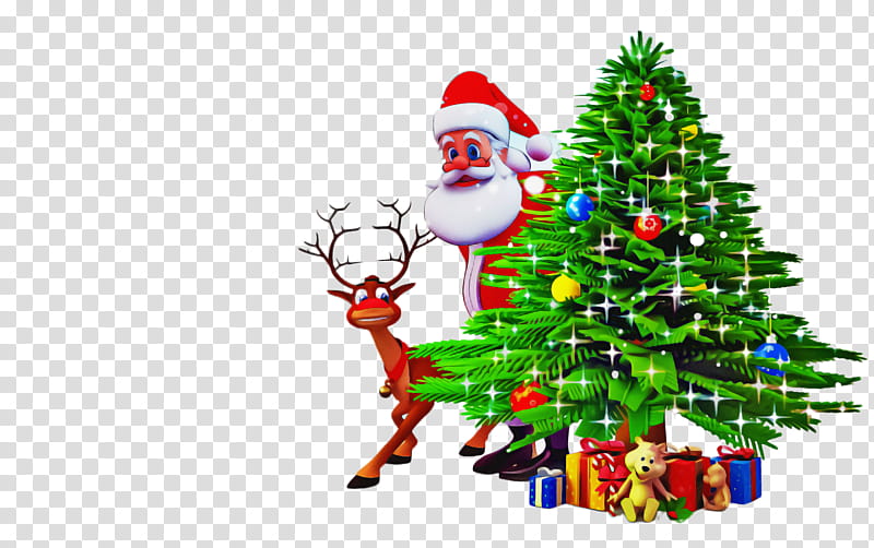 Christmas tree, Christmas , Santa Claus, Christmas Decoration, Christmas Ornament, Colorado Spruce, Christmas Eve, Oregon Pine transparent background PNG clipart Christmas tree, Christmas , Santa Claus, Christmas Decoration, Christmas Ornament, Colorado Spruce, Christmas Eve, Oregon Pine transparent background PNG clipart