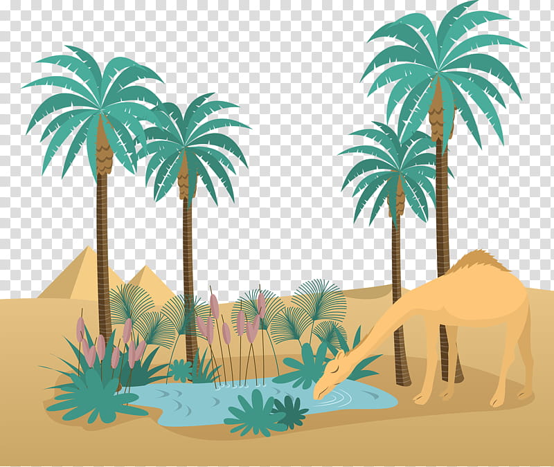 Palm Tree Drawing, Oasis, Desert, Arecales, Landscape, Date Palm, Plant transparent background PNG clipart