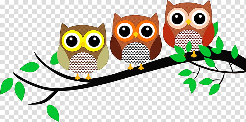 owl bird branch bird of prey eastern screech owl transparent background PNG clipart