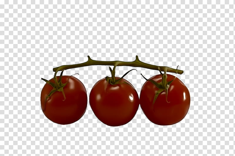 Tomato, Natural Foods, Fruit, Red, Solanum, Plant, Cherry, Bush Tomato transparent background PNG clipart