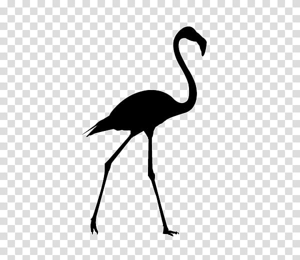 Flamingo Logo, Silhouette, Drawing, Bird, Beak, Cranelike Bird, Water Bird, Neck transparent background PNG clipart