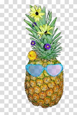 Pineapple, pineapple with sunglasses art transparent background PNG clipart