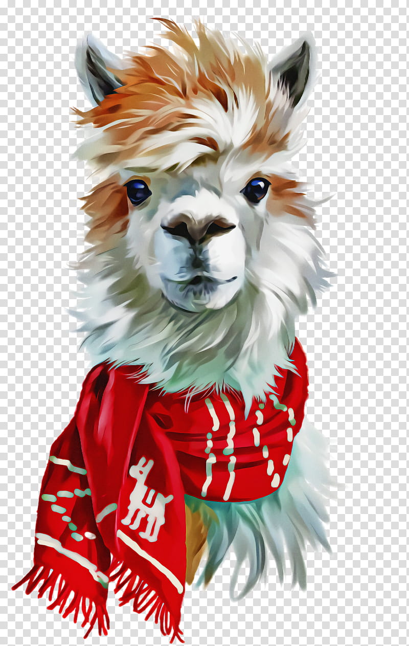 Llama, Fur transparent background PNG clipart