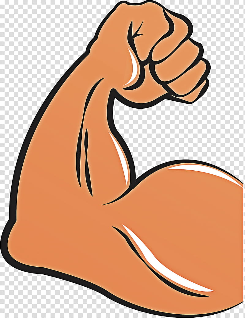 Web Design, Muscle, Biceps, Arm, Drawing, Cartoon, Human Leg, Nose transparent background PNG clipart