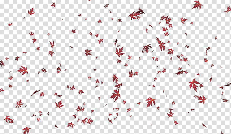 leaf scatter, red maple leaves illustration transparent background PNG clipart