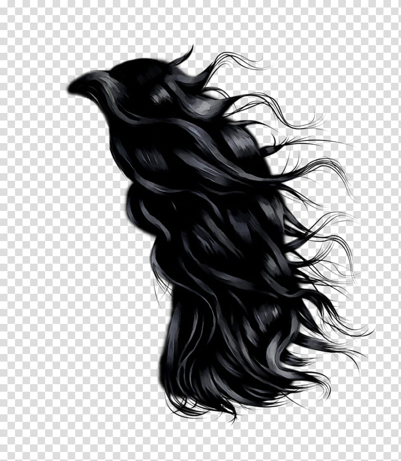 Facebook Fashion, Black Hair, Crowbar, Artificial Hair Integrations, Wig, Hair Coloring, Guitar Picks, Hairstyle transparent background PNG clipart