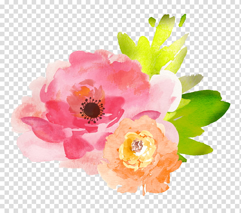 Watercolor Pink Flowers, Watercolor Flowers, Watercolour Flowers, Watercolor Painting, Watercolor, Floral Design, Petal, Plant transparent background PNG clipart