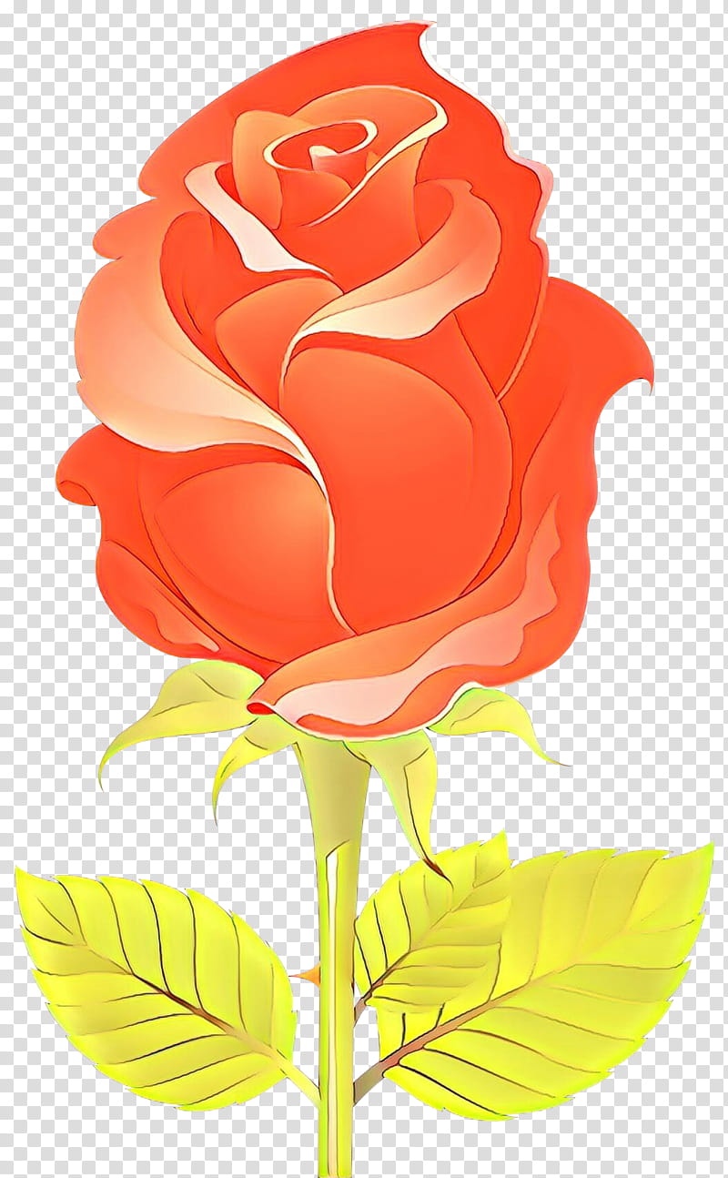 Garden roses, Cartoon, Flower, Red, Orange, Petal, Rose Family, Plant transparent background PNG clipart