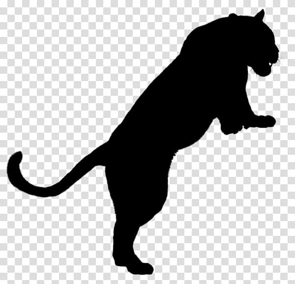 Dog And Cat, Whiskers, Wildcat, Snout, Silhouette, Puma, Black M, Tail transparent background PNG clipart