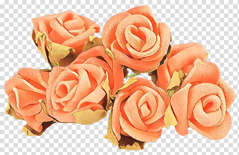 Garden roses, Cartoon, Pink, Flower, Orange, Peach, Rose Family, Cut Flowers transparent background PNG clipart