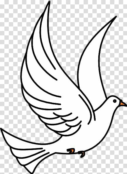 Bird Line Drawing, Pigeons And Doves, Christian , Silhouette, Line Art, White, Beak, Leaf transparent background PNG clipart