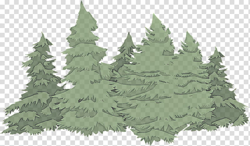 shortleaf black spruce colorado spruce white pine tree oregon pine, Balsam Fir, Green, Evergreen transparent background PNG clipart