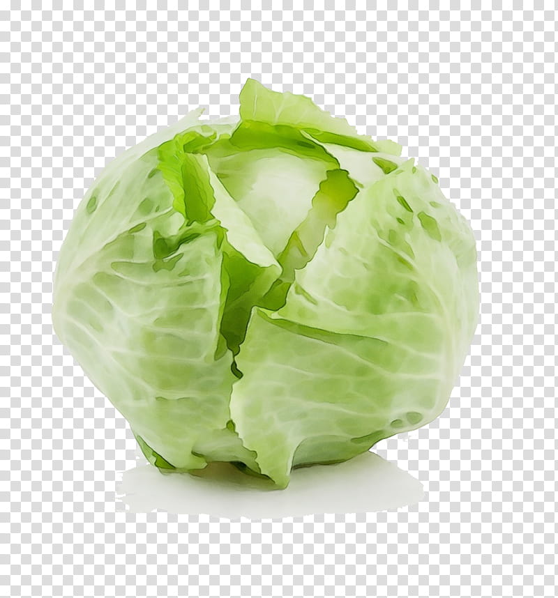 cabbage iceburg lettuce vegetable leaf vegetable lettuce, Watercolor, Paint, Wet Ink, Food, Wild Cabbage, Cruciferous Vegetables, Plant transparent background PNG clipart