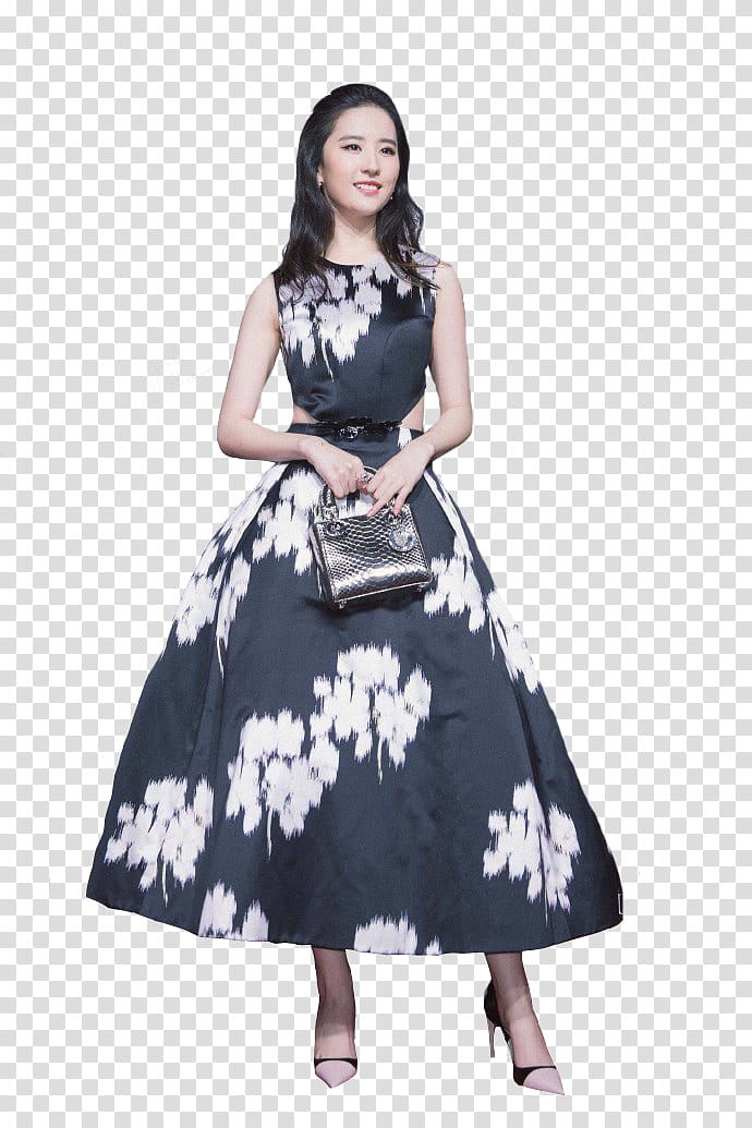 Liu Yi Fei transparent background PNG clipart