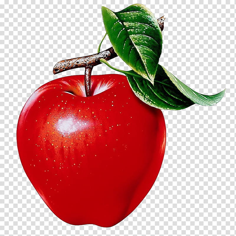 Fruit, red apple transparent background PNG clipart