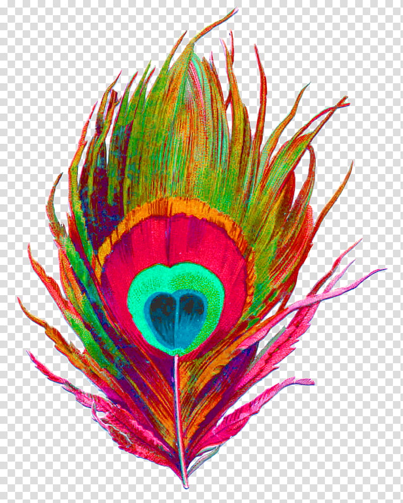 Cartoon Bird, Krishna, Peafowl, Feather, Beak, Indian Peafowl, Colorfulness, Fractal Art transparent background PNG clipart