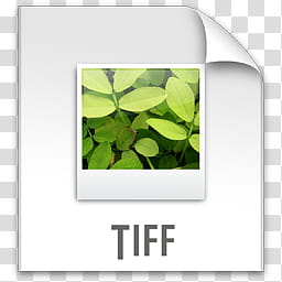 Exempli Gratia, z File TIFF, white and green wooden frame transparent background PNG clipart